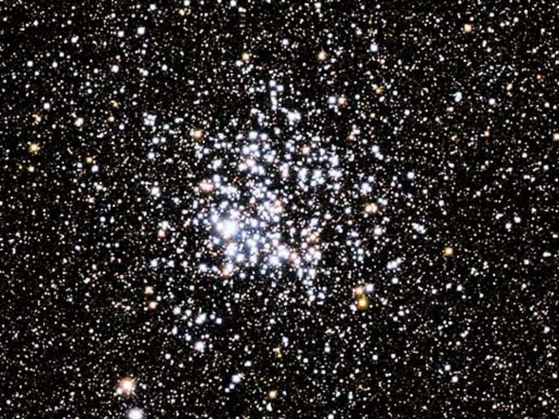 Amas ouvert M11 dans la constellation du bouclier